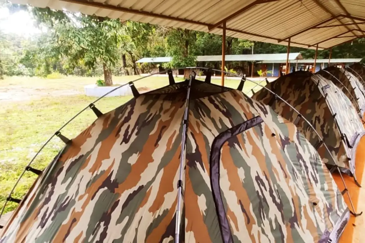 Glamping under the stars in Dandeli