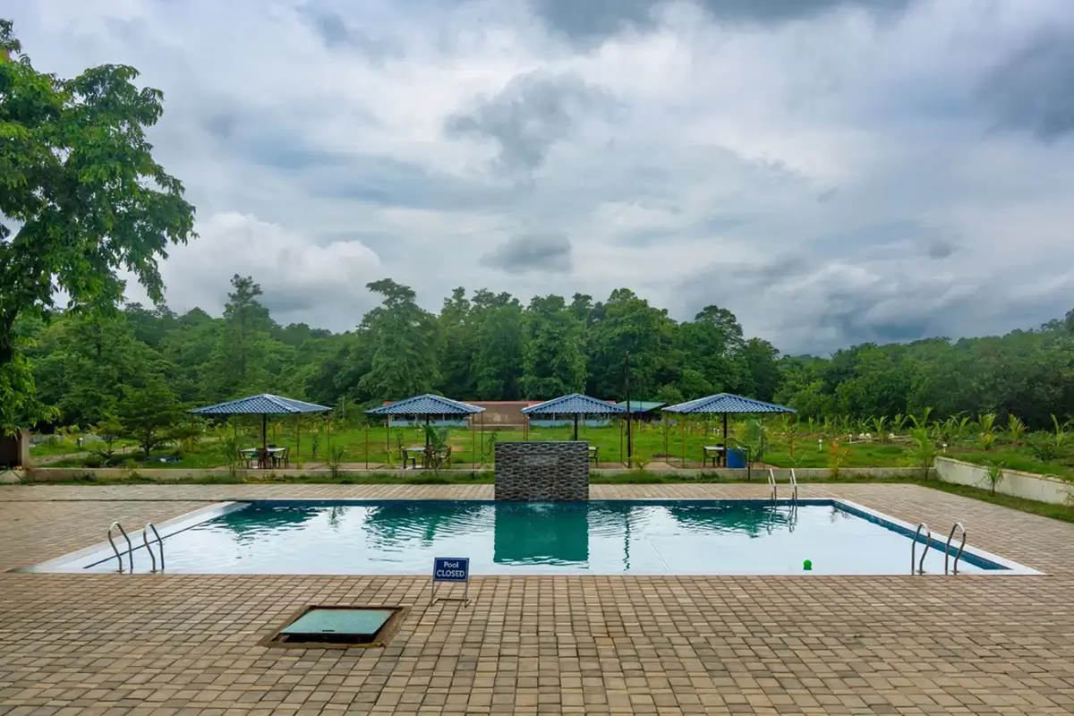 Luxury swimming pool at our Dandeli jungle resort